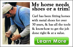 triplebar-home-shoeing traditional horse shoeing intro