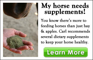 triplebar-home-supp horse health supplements intro